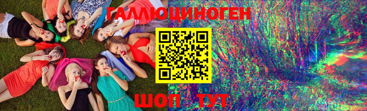 Псилоцибиновые грибы GOLDEN TEACHER  Вход с VPN  Светлоград 